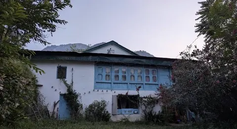 The blue-shuttered mountain house at The Nook, framed by trees