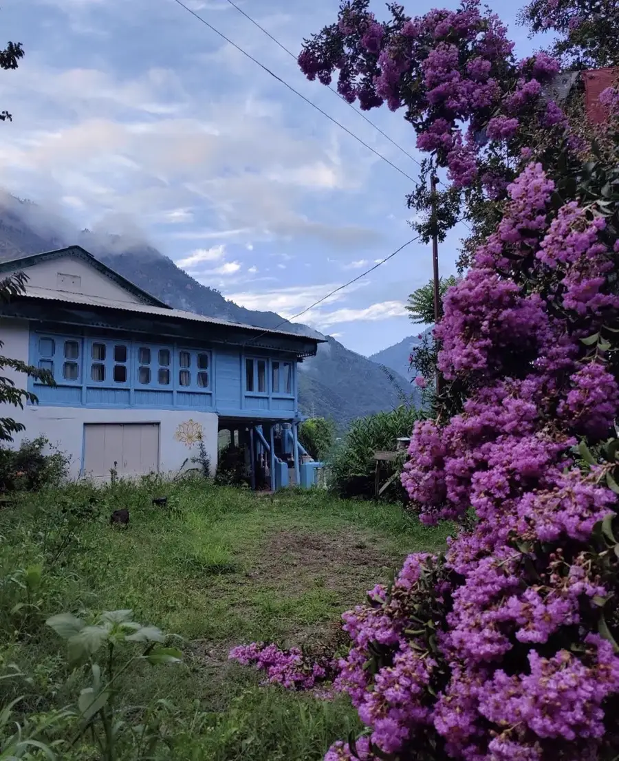 The Nook, a blue Kathkuni home framed by blossom in Sainj Valley