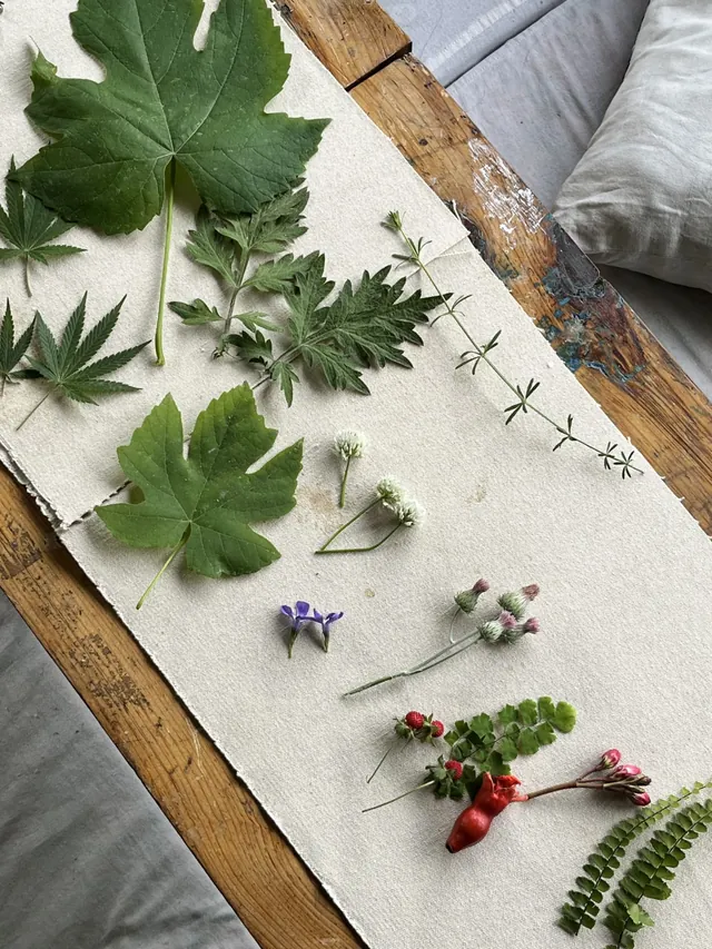 Leaves and wildflowers foraged on the walk, laid out on canvas